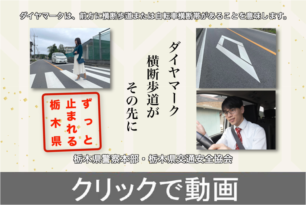動画2を見る